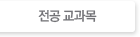 전공 교과목